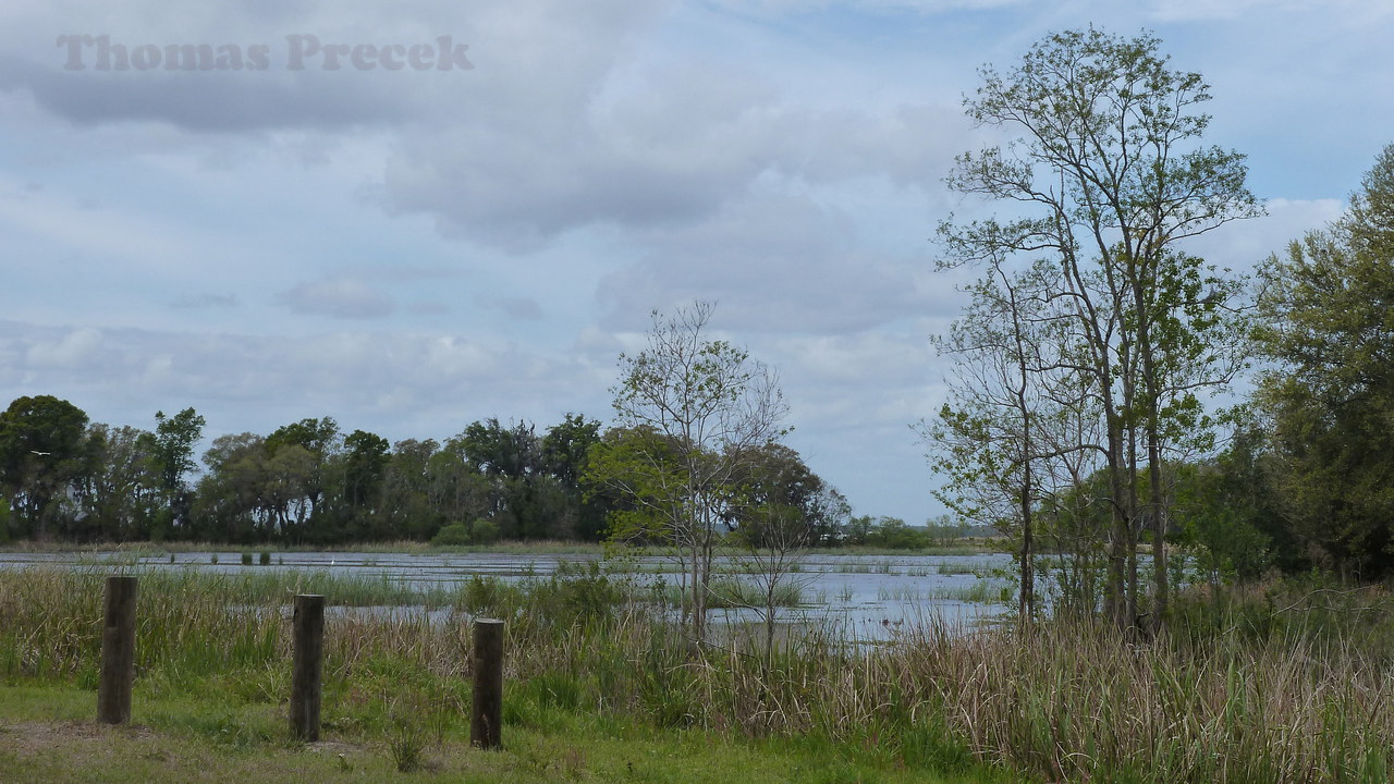 005.   Savannah National Wildlife Refuge_2017