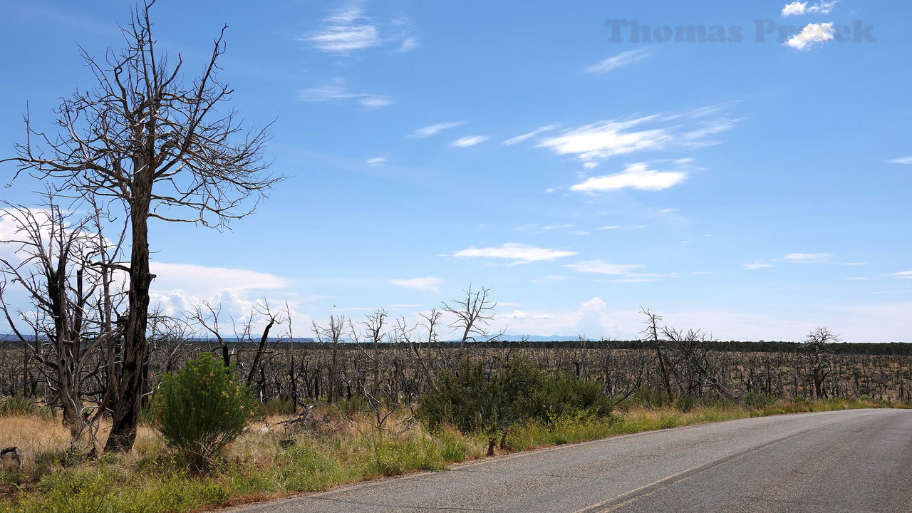 004 - Mesa Verde National Park_2018