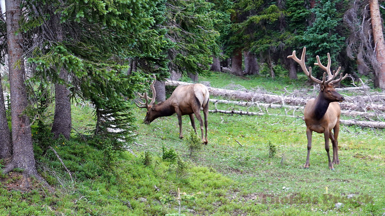 032   Rocky Mountain National Park_2018