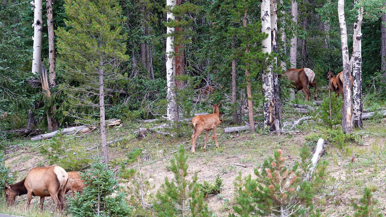 034   Rocky Mountain National Park_2018