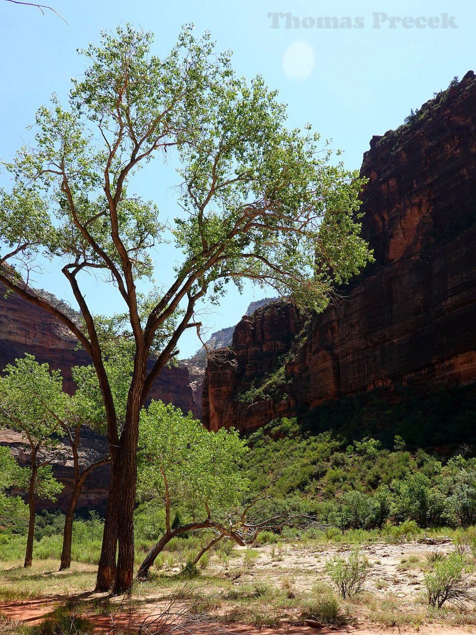 005  Zion National Park_2018