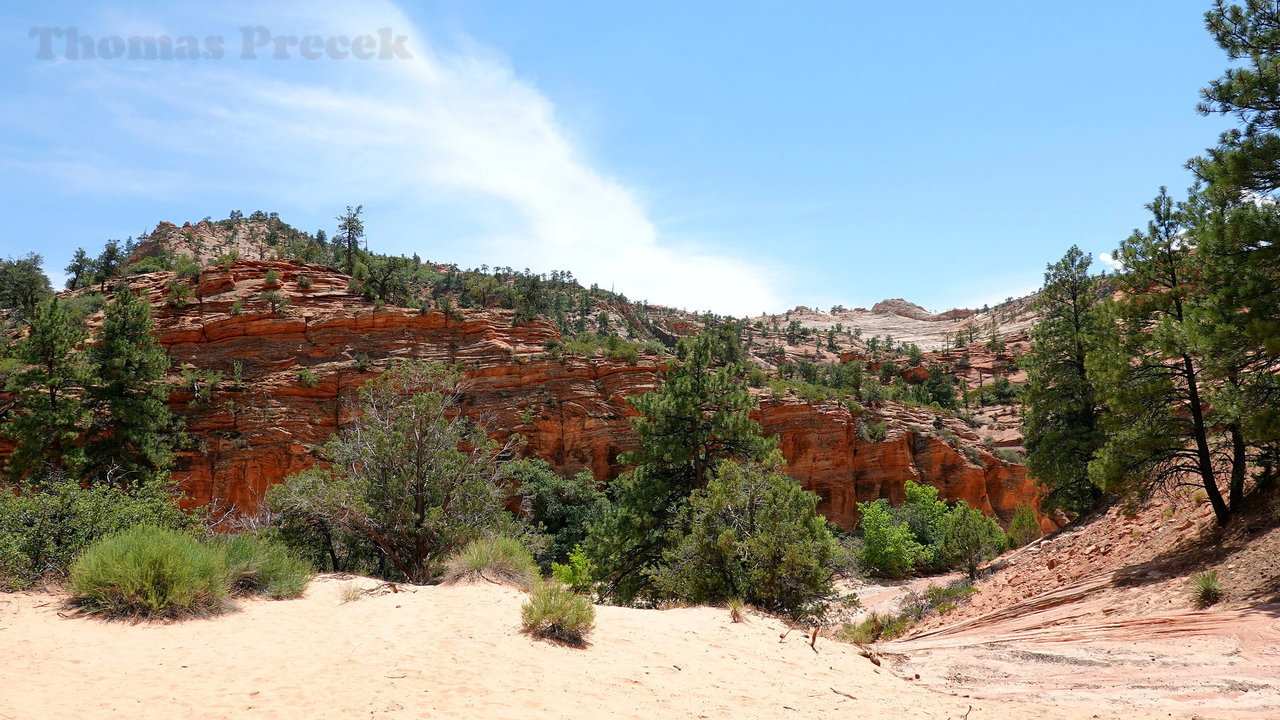 016  Zion National Park_2018