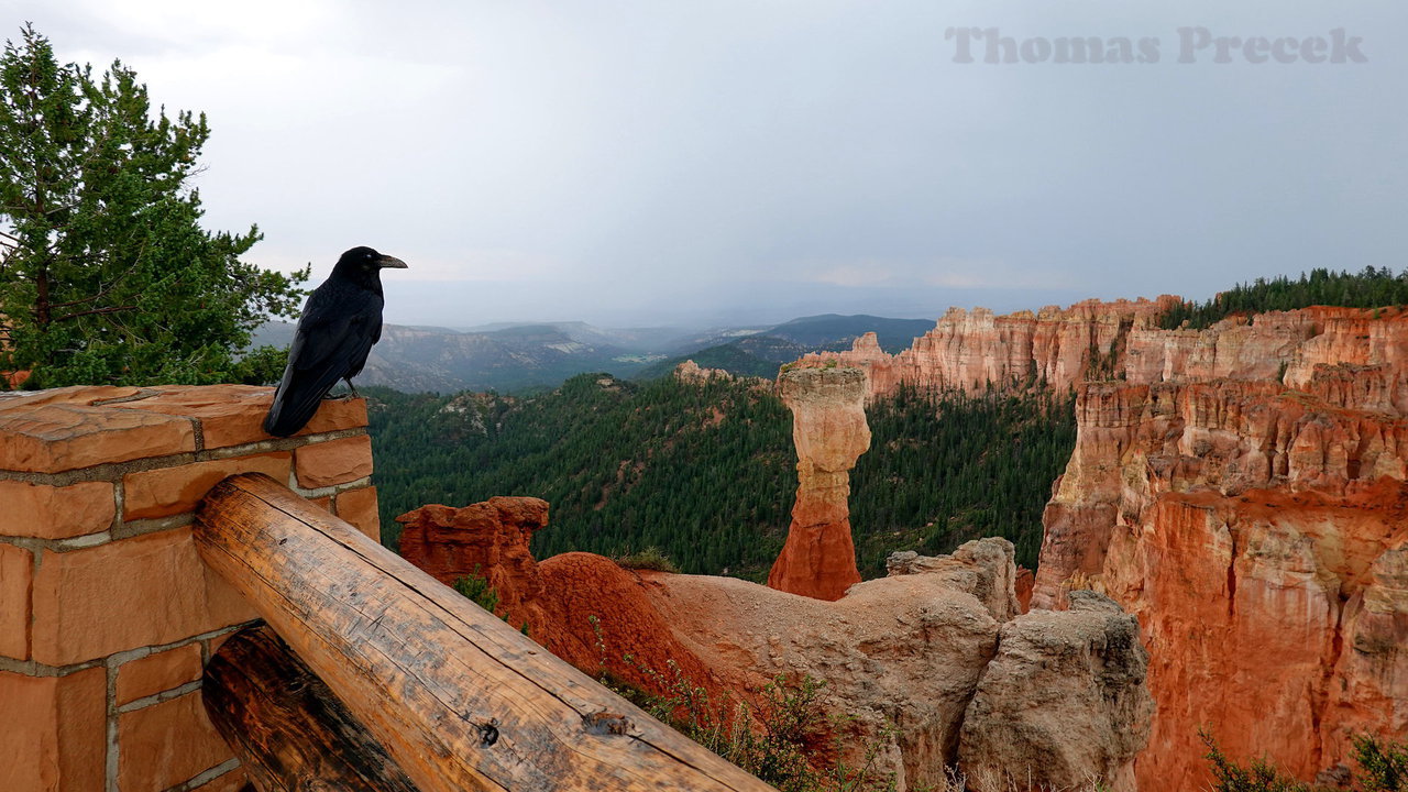 018  Bryce Canyon National Park_2018