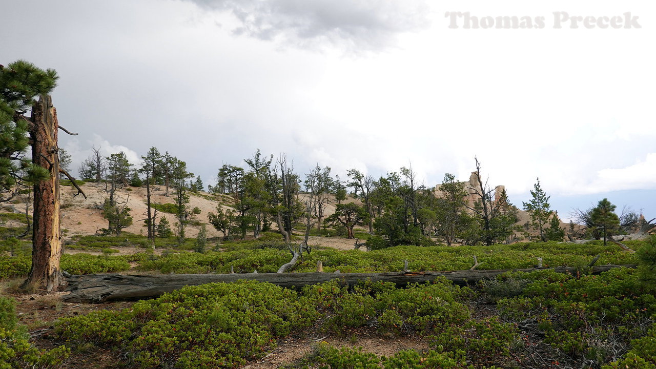 025  Bryce Canyon National Park_2018