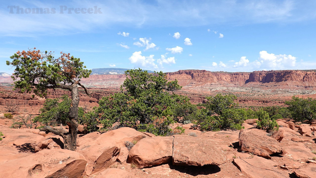 007  Capitol Reef National Park_2018