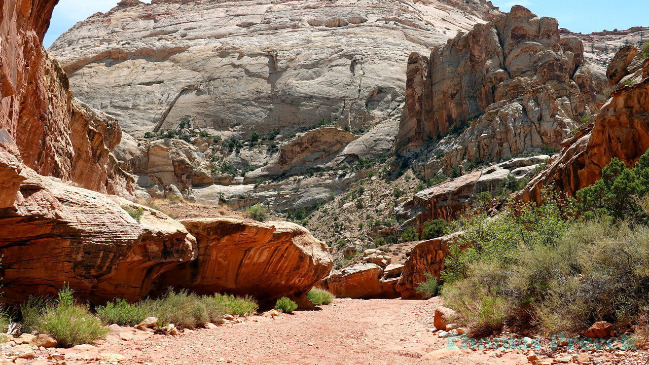 014  Capitol Reef National Park_2018