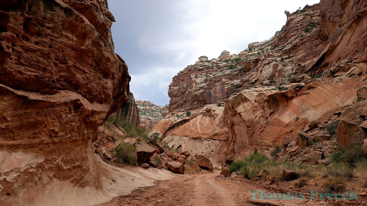 021  Capitol Reef National Park_2018