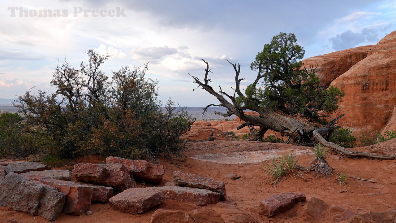 022   Arches National Park_2018