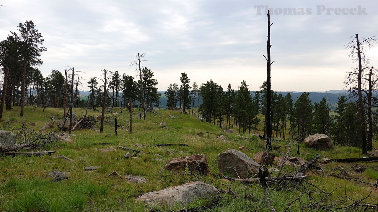 005   Devils Tower National Monument_2018