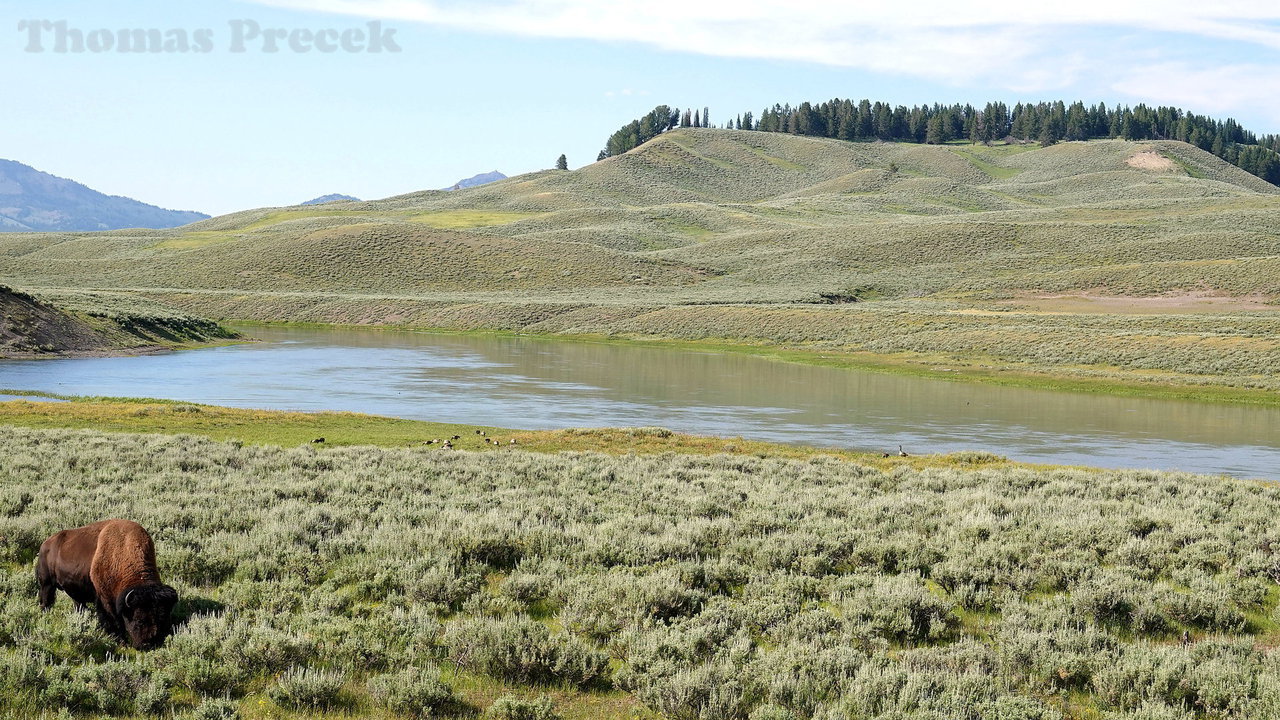 014  Yellowstone National Park_2018